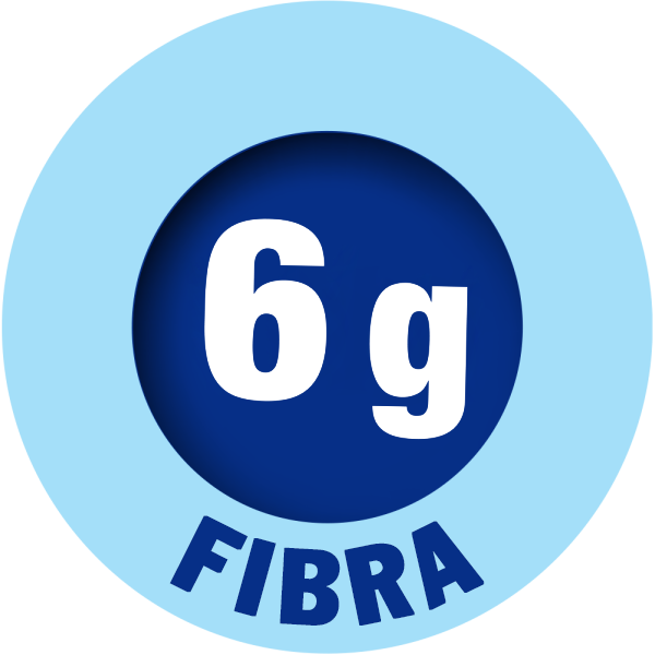 6g Fiber Icon
