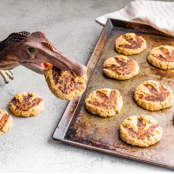 Dino Fossil Cookies