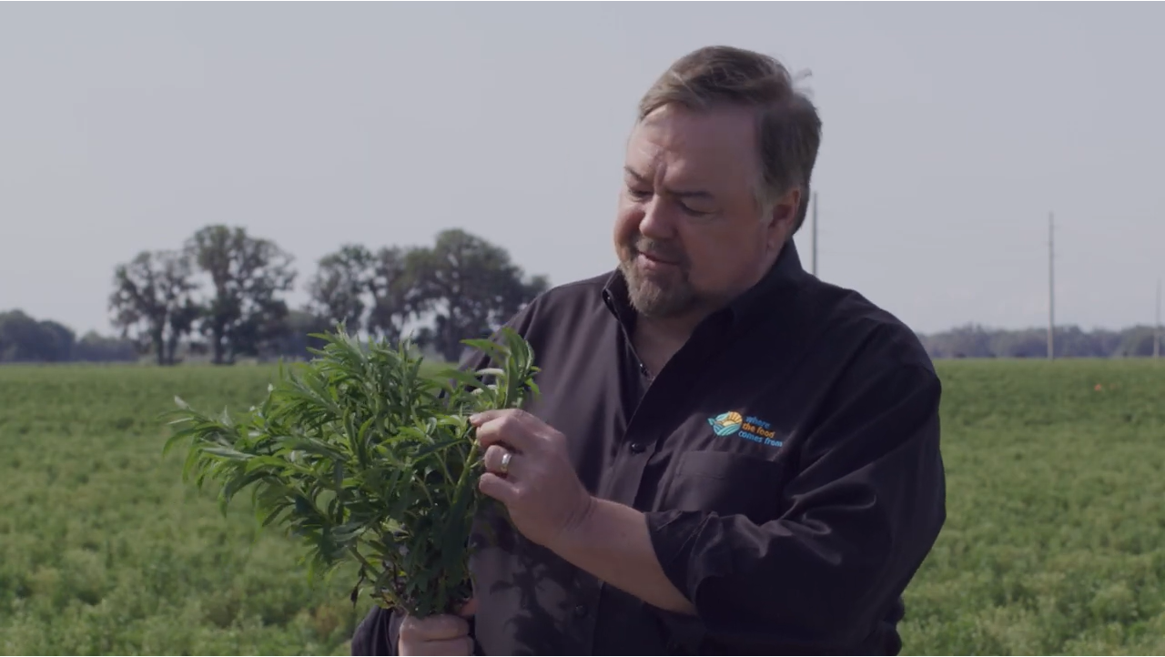 Where The Food Comes From Featuring Splenda Stevia Farms